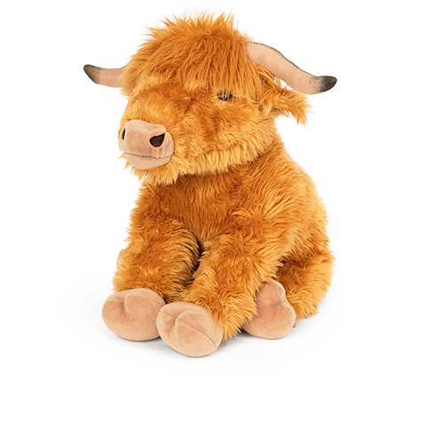 Living nature store highland cow