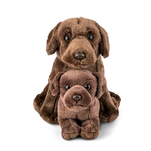Chocolate Labrador Parent & Puppy Set