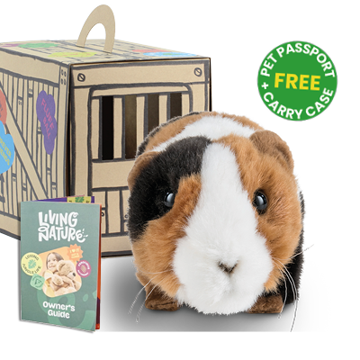 Cuddly toy sale guinea pig