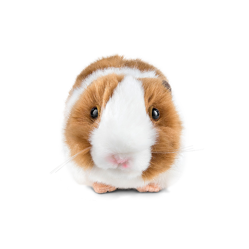 Brown Guinea Pig with Sound