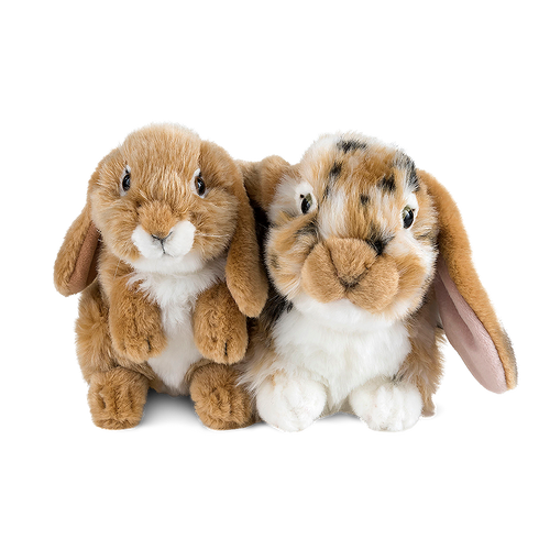 Brown Lop Eared Rabbits Set