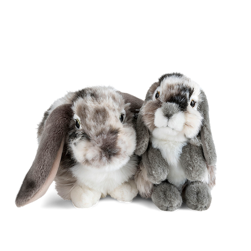 Grey Lop Eared Rabbits Set