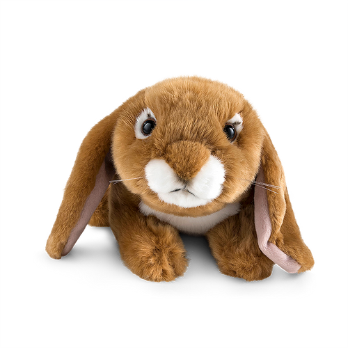 Brown Lop Eared Rabbit