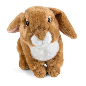 Light Brown French Lop Eared Rabbit