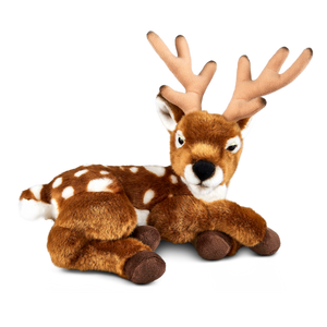 Deer with Antlers