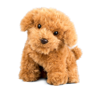 Cavapoo Soft Toy, Dog Teddy Bears