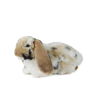 Brown Lop Eared Rabbits Set