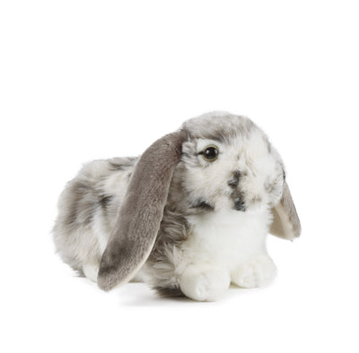 Grey Dutch Lop Eared Rabbit & Baby Bunny Set