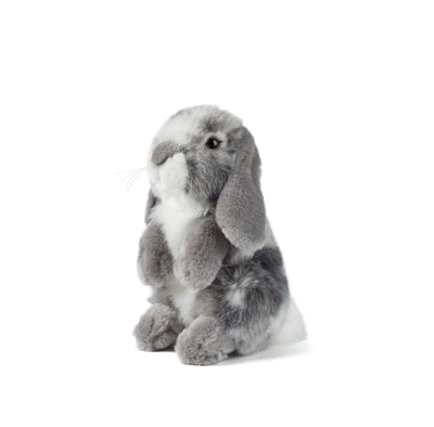 Grey Sitting Lop Eared Rabbit