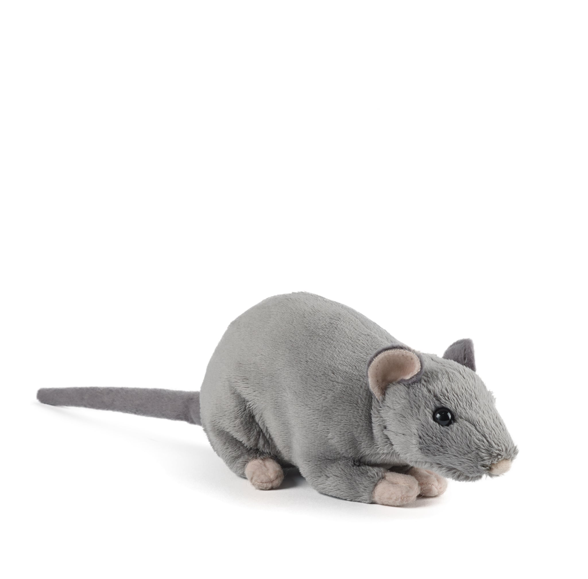 Rat with Squeak