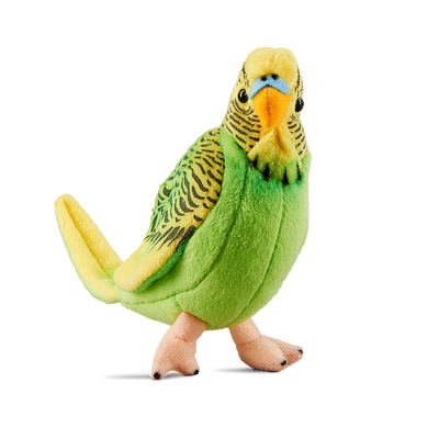 Yellow Budgerigar with Sound