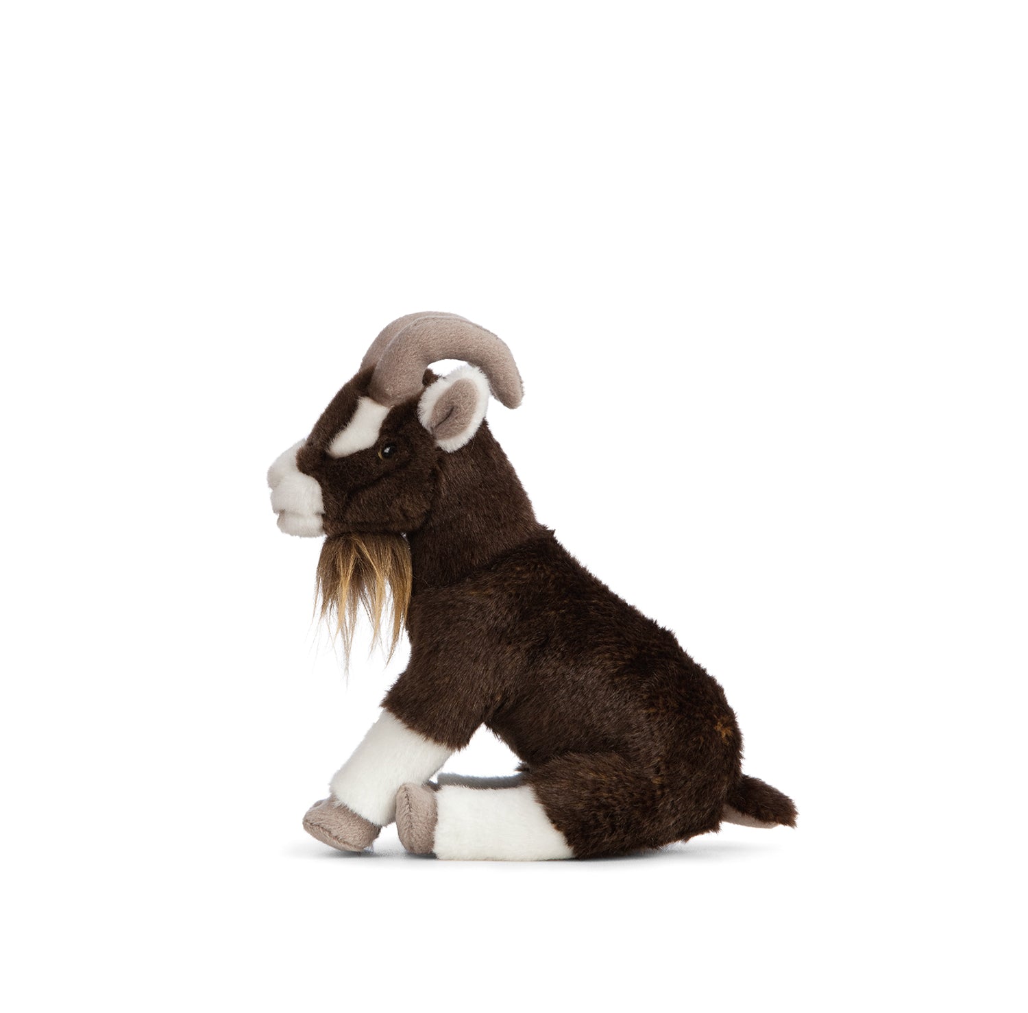Sitting Brown Goat