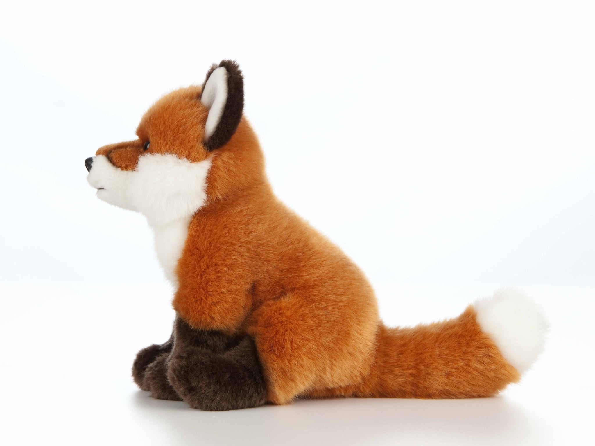 Sitting Fox