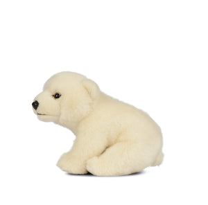 Sitting Polar Bear Cub