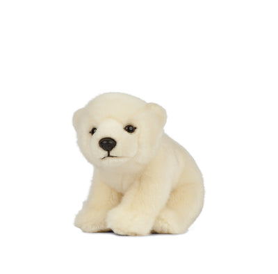 Sitting Polar Bear Cub