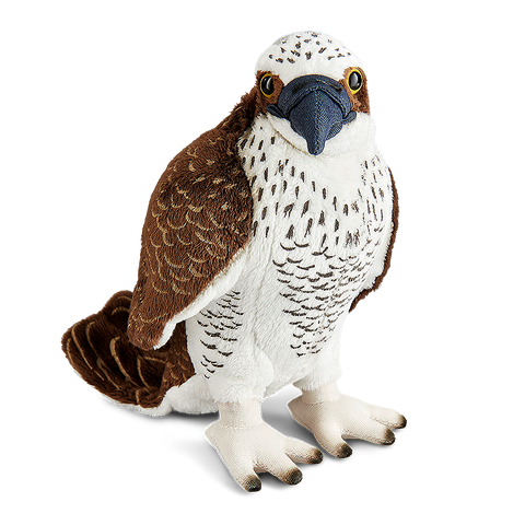 Falcon bird outlet toy