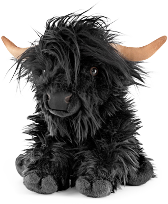 Black Highland Cow with Sound