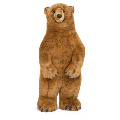 Giant Standing Grizzly Bear