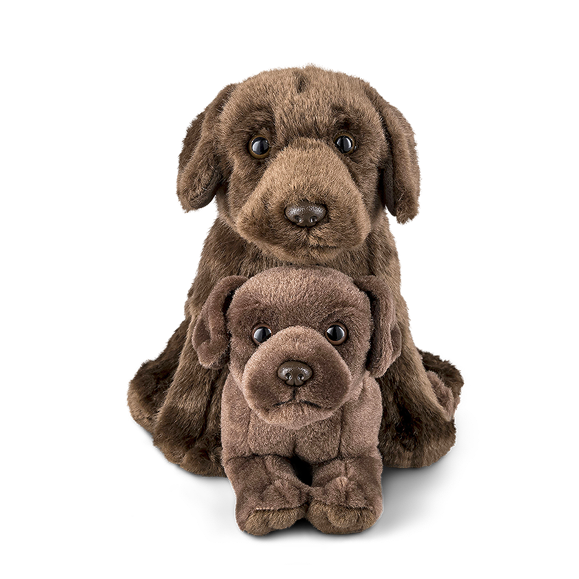 Chocolate Labrador Parent & Puppy Set