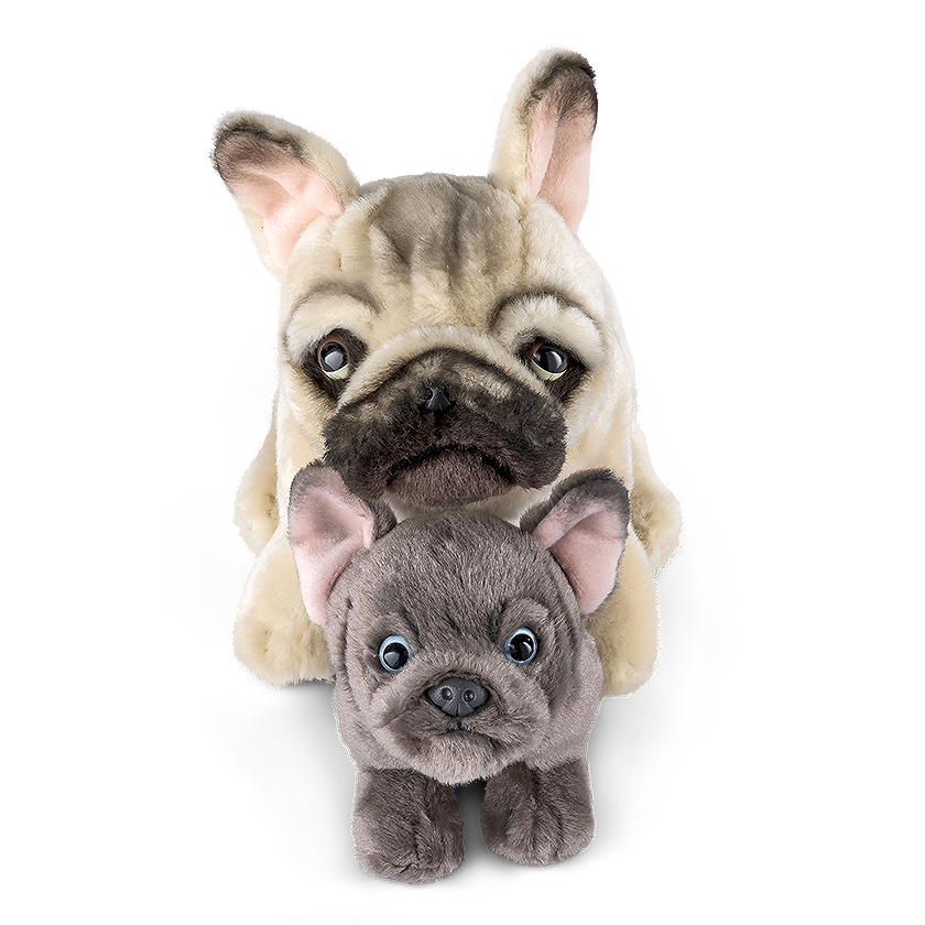 French Bulldog Parent & Puppy Set