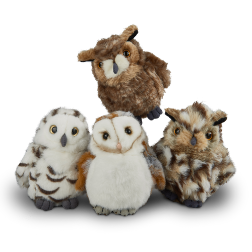 4 Assorted Owls Set