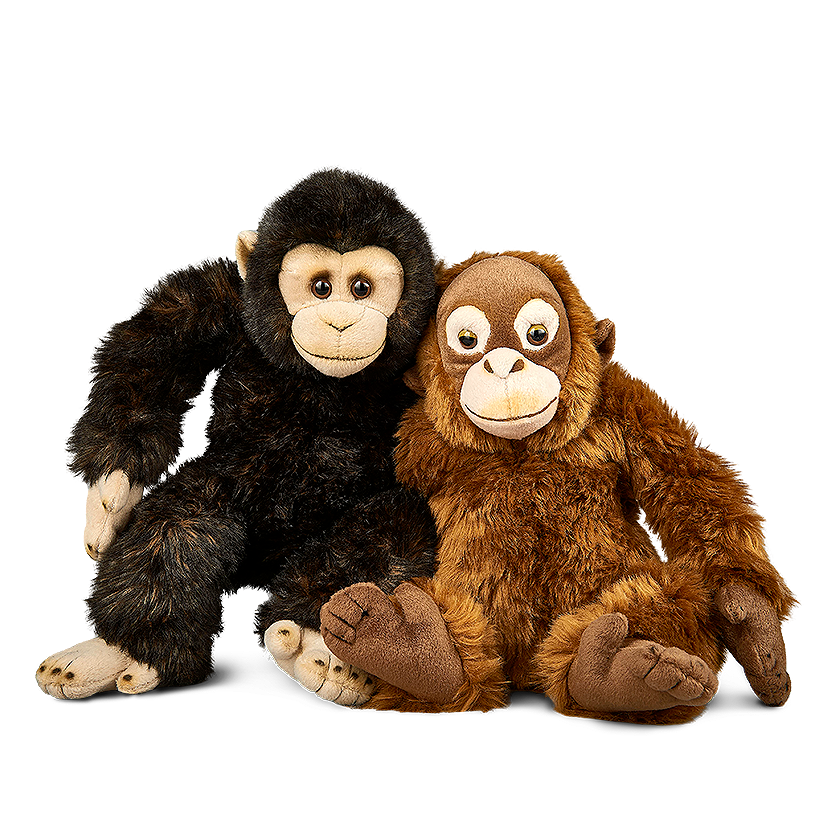 Chimpanzee & Orangutan Set