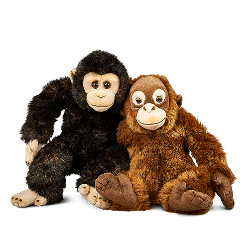 Chimpanzee & Orangutan Set