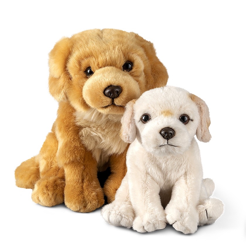 Golden Retriever Parent & Puppy Set