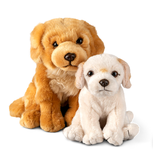 Golden Retriever Parent & Puppy Set